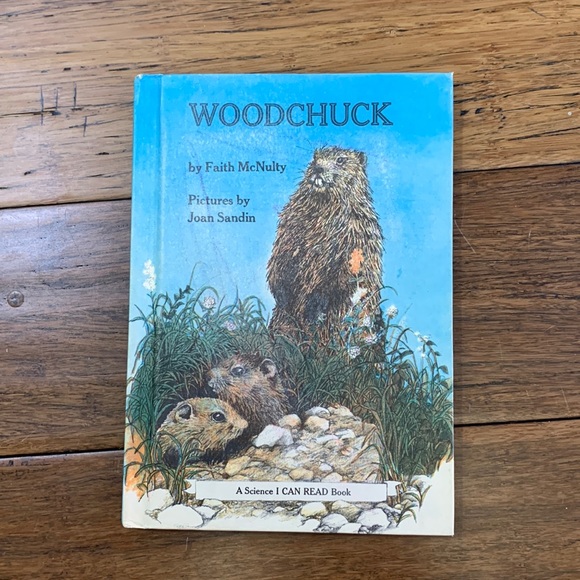 Woodchuck by Faith McNulty - Picture 1 of 2